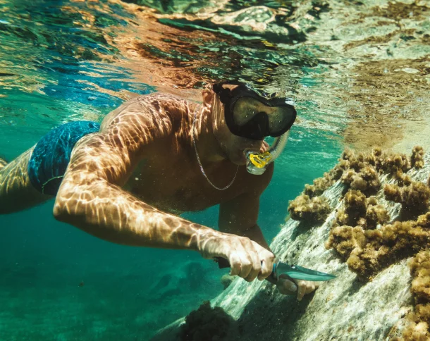 Explore Komodo Resort